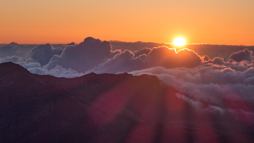 At Home in the Islands