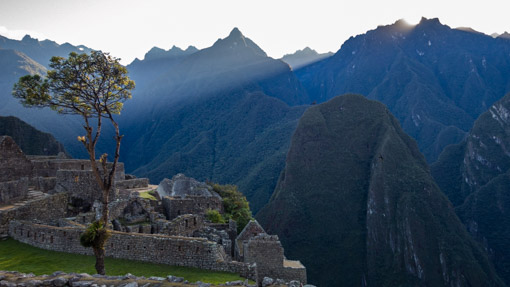 The Trek to Machu Picchu